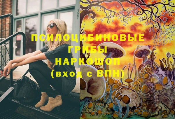 синтетический гашиш Алексеевка