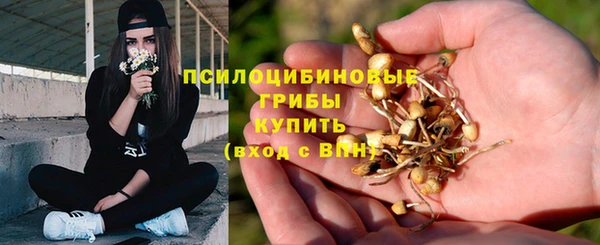 ешки Алексин
