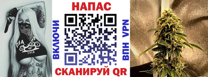 Бошки марихуана VHQ  Дно 